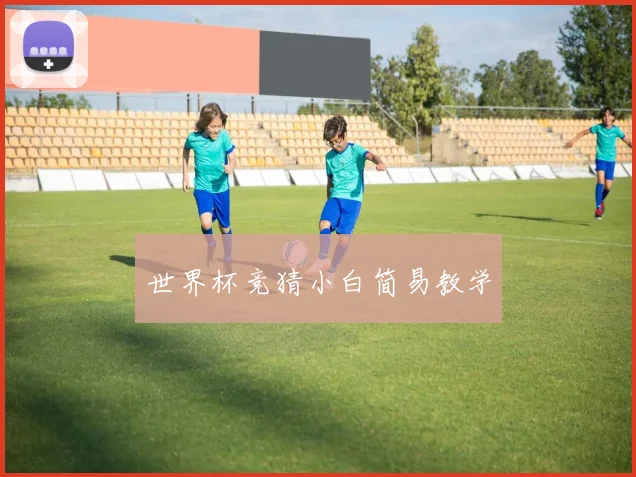 世界杯竞猜小白简易教学