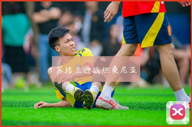 苏格兰迎战坦桑尼亚