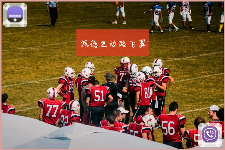佩德里边路飞翼