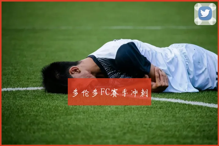 多伦多FC赛季冲刺
