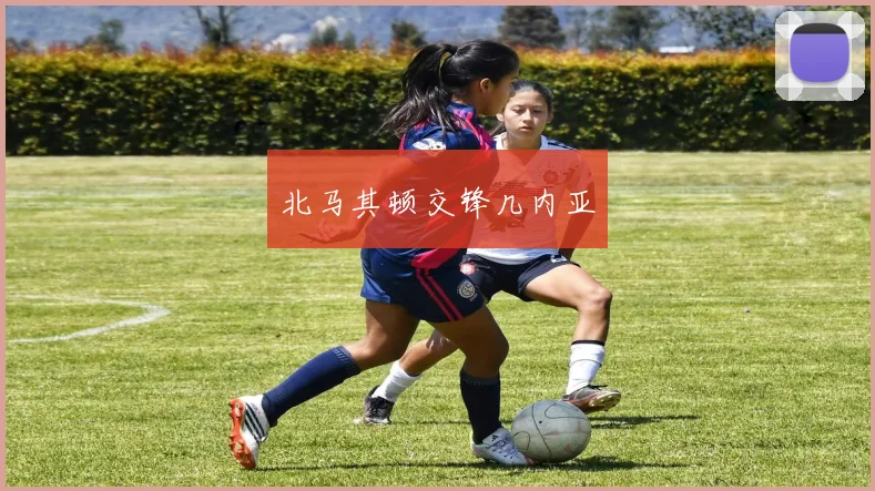 北马其顿交锋几内亚