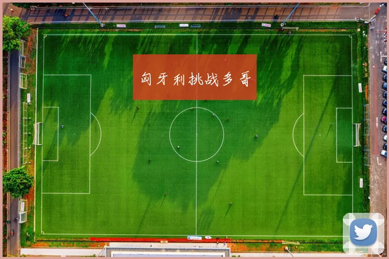 匈牙利挑战多哥